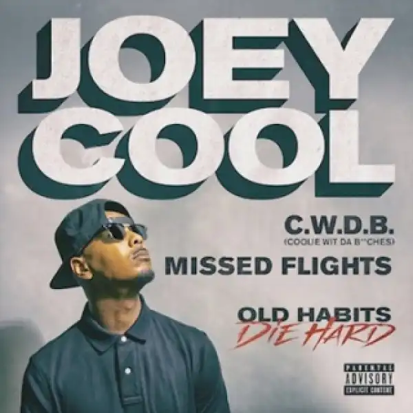 Instrumental: Joey Cool - Coolie Wit Da Bitches